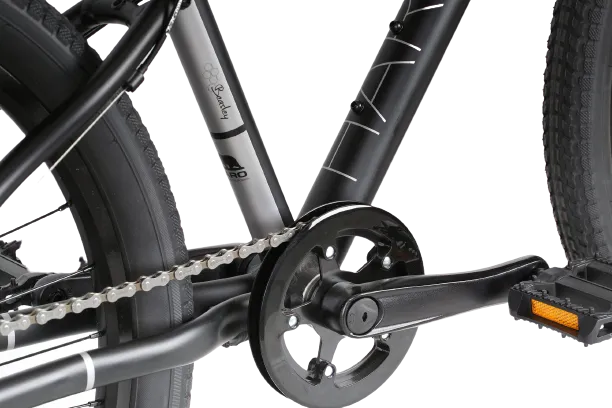 24" Haro Beasley 7-speed