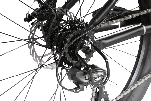 24" Haro Beasley 7-speed