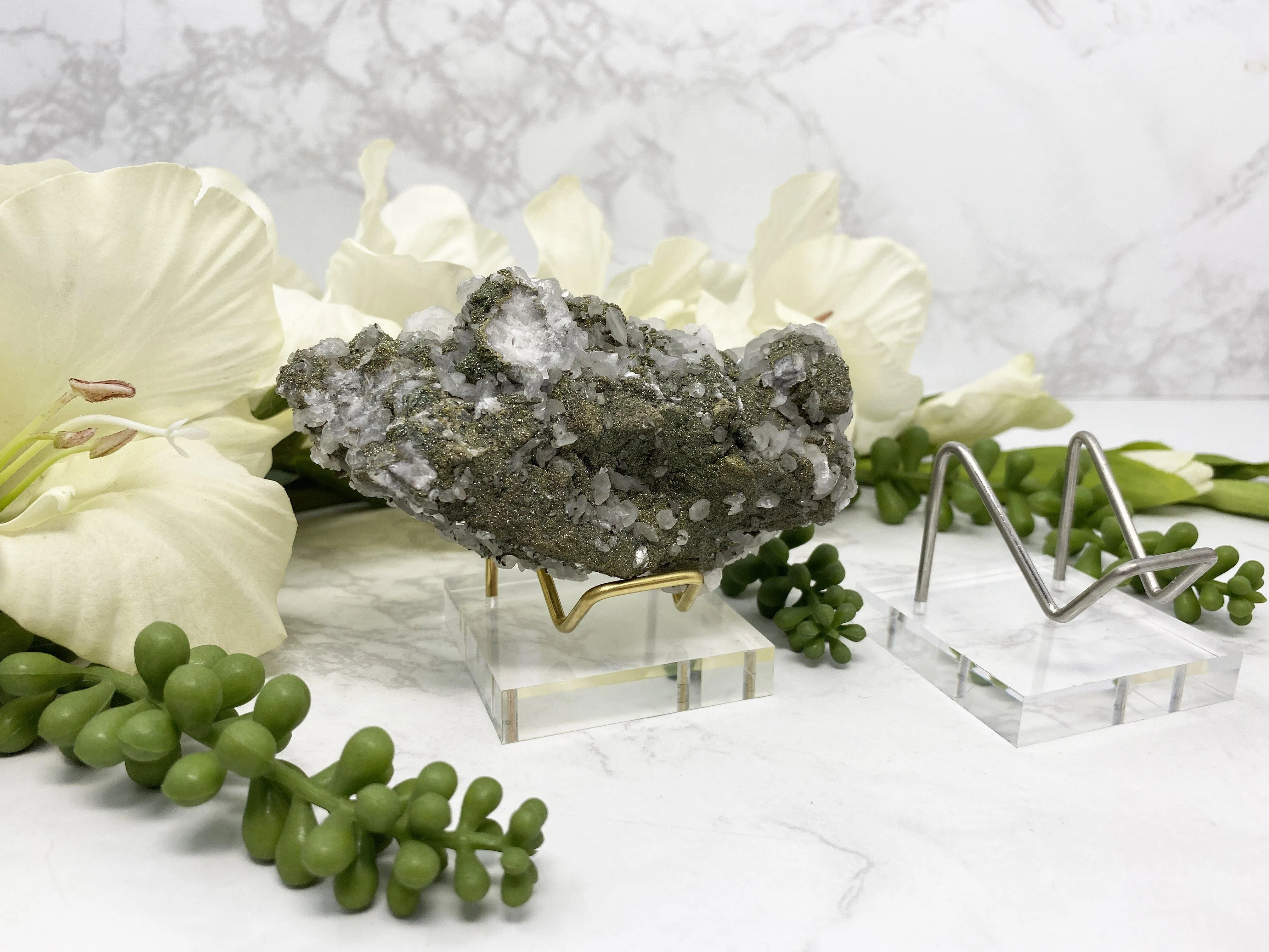 Acrylic Metal Specimen Stand