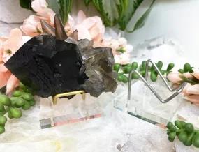Acrylic Metal Specimen Stand