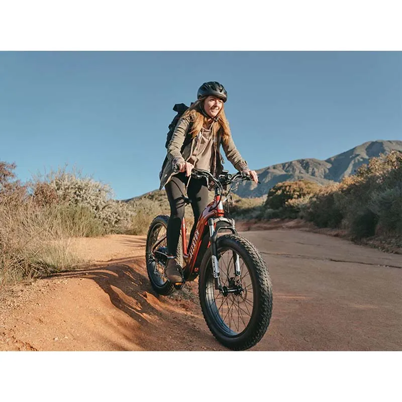 Aventon Aventure Step Through Electric Bike