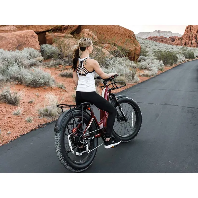 Aventon Aventure Step Through Electric Bike