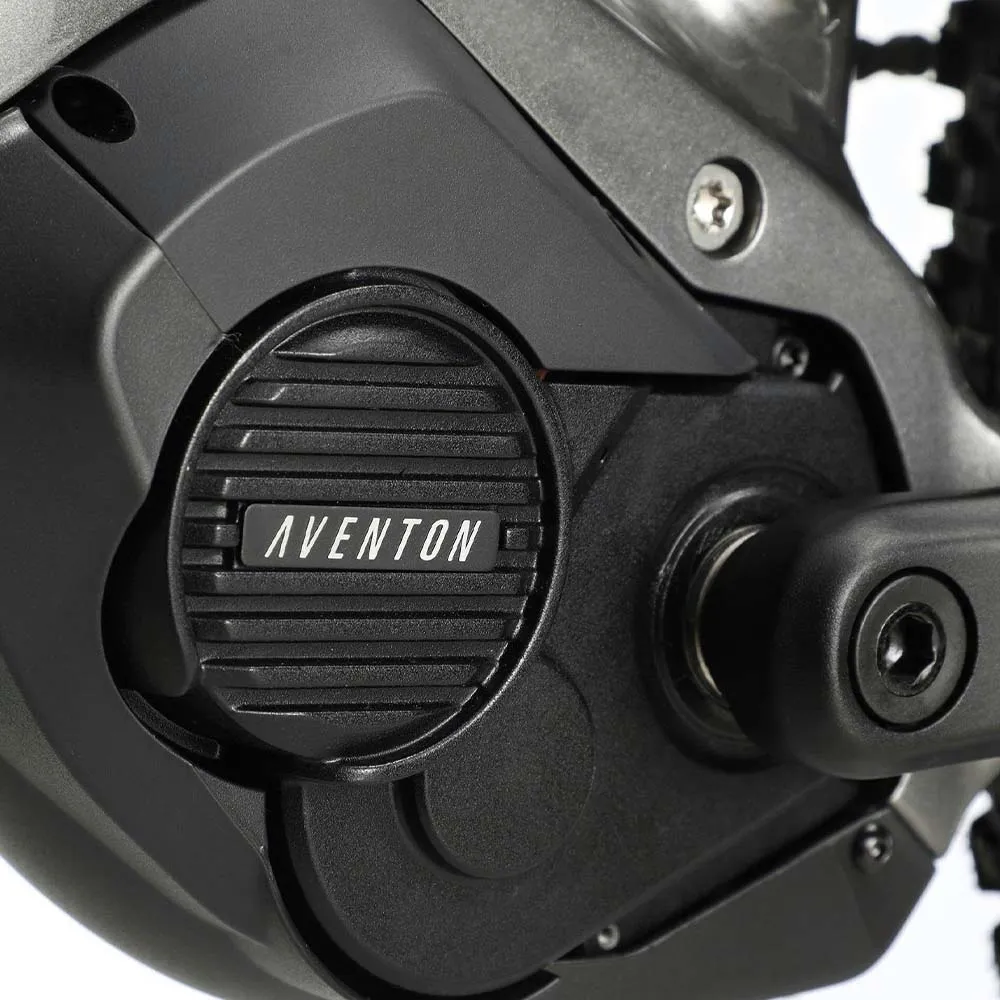 Aventon Ramblas Electric Mountain Bike