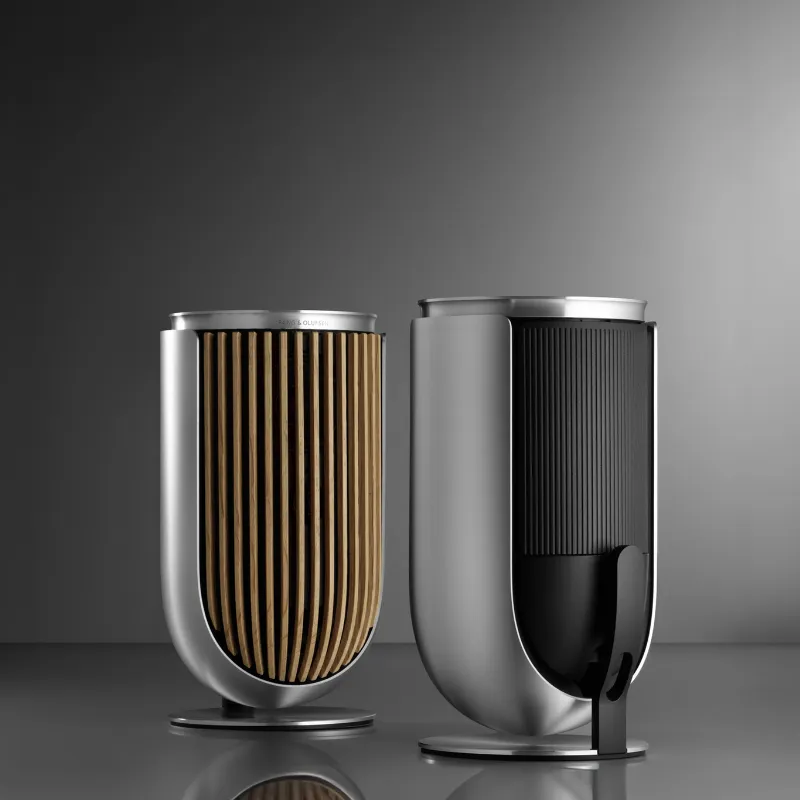 Bang & Olufsen Beolab 8 - Compact Wireless Speaker (Each)