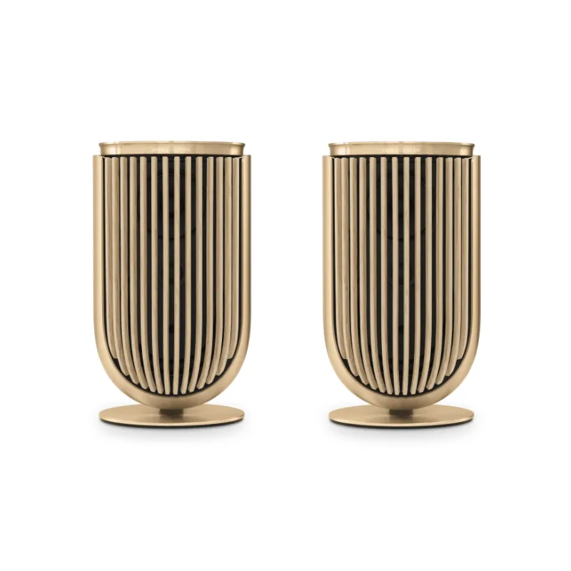 Bang & Olufsen Beolab 8 - Compact Wireless Speaker (Each)