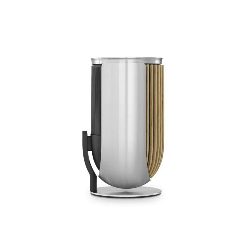 Bang & Olufsen Beolab 8 - Compact Wireless Speaker (Each)