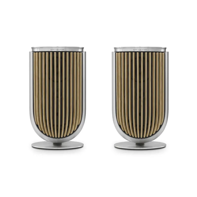 Bang & Olufsen Beolab 8 - Compact Wireless Speaker (Each)