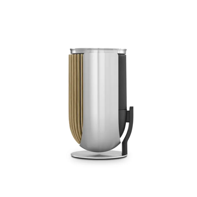 Bang & Olufsen Beolab 8 - Compact Wireless Speaker (Each)