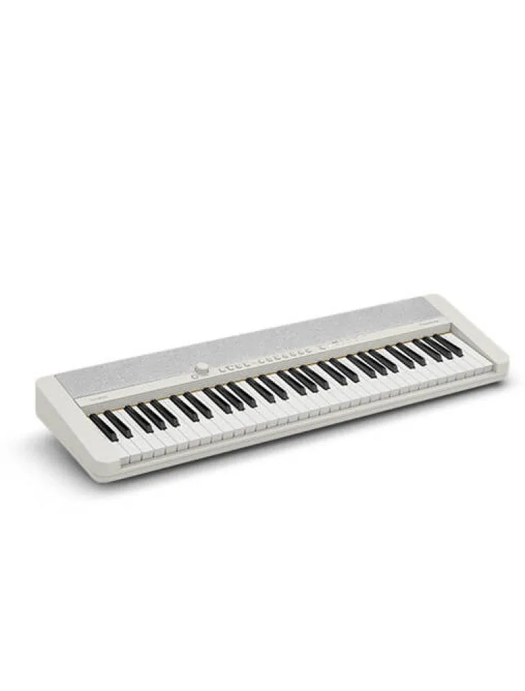 Casio CT-S1   ADE95100 LE power Adapter