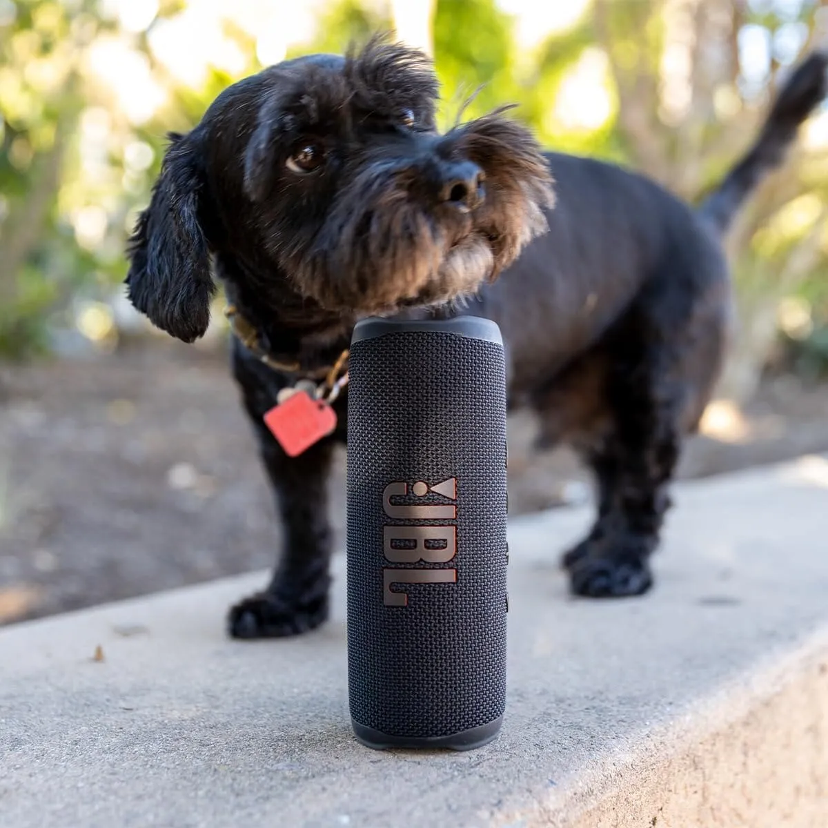 JBL Flip 6 Portable Bluetooth Speaker (Refurbished)