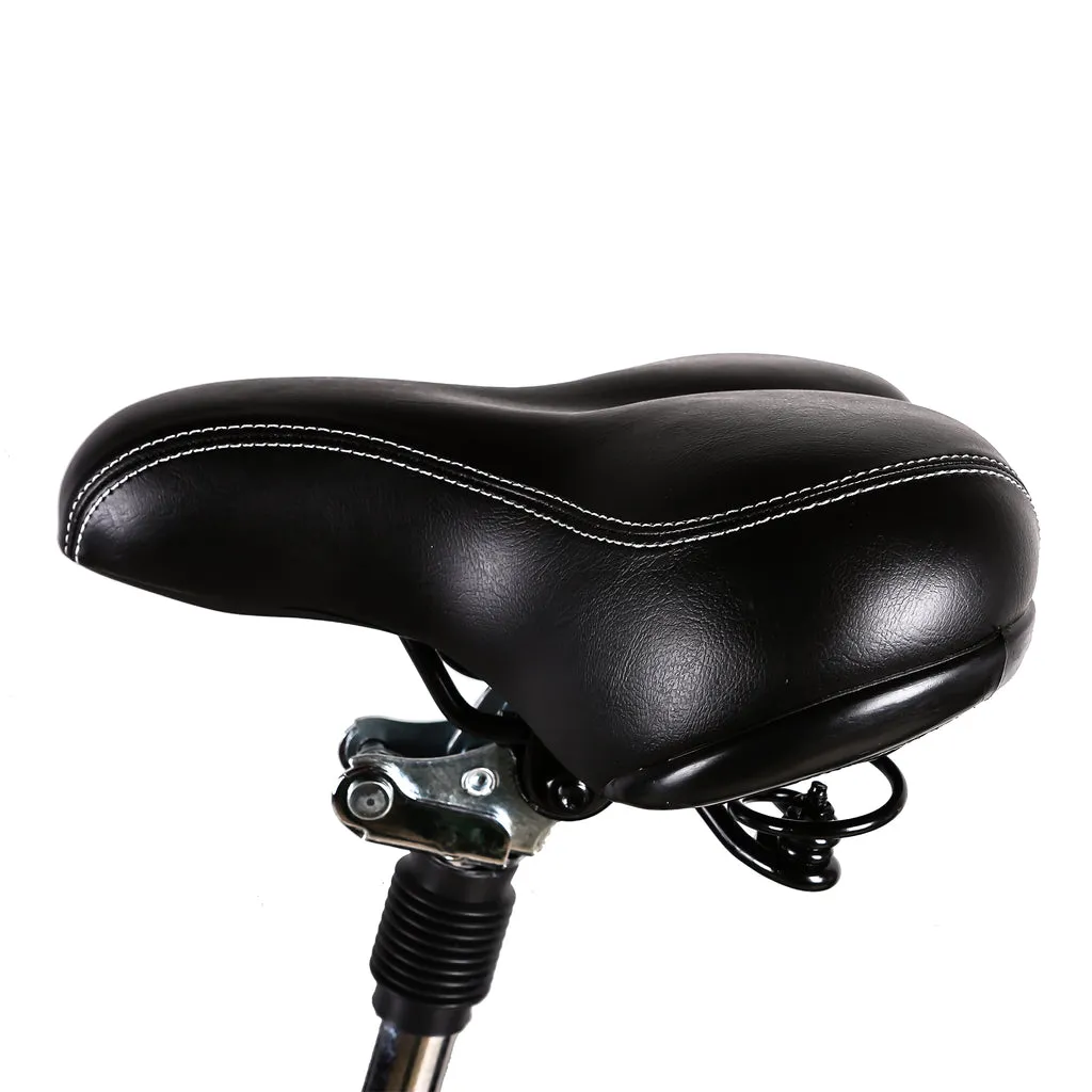 NAKTO Camel 36V/10Ah 250W/350W Electric Bike