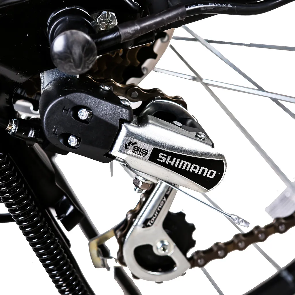 NAKTO Camel 36V/10Ah 250W/350W Electric Bike