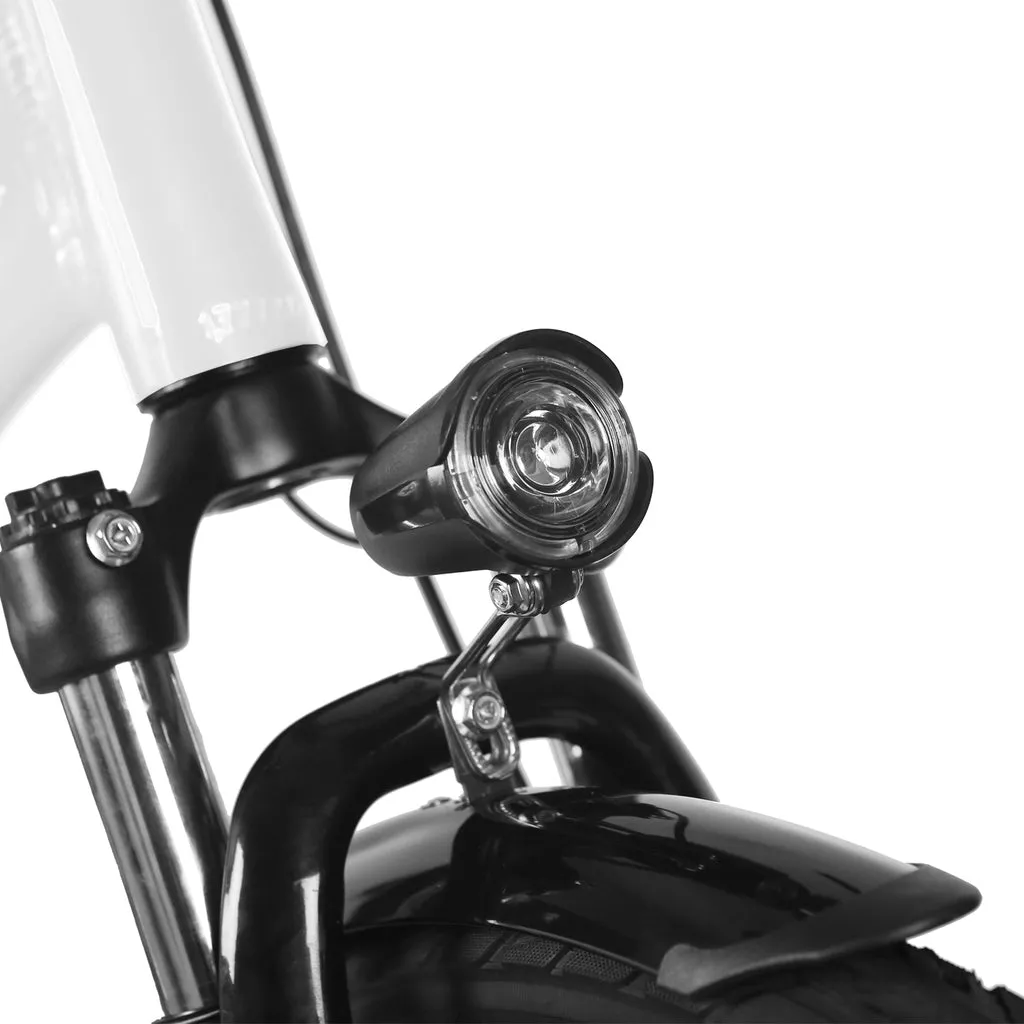 NAKTO City Stroller 36V/12Ah 600W Electric Bike
