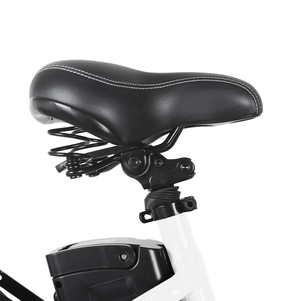 NAKTO City Stroller 36V/12Ah 600W Electric Bike
