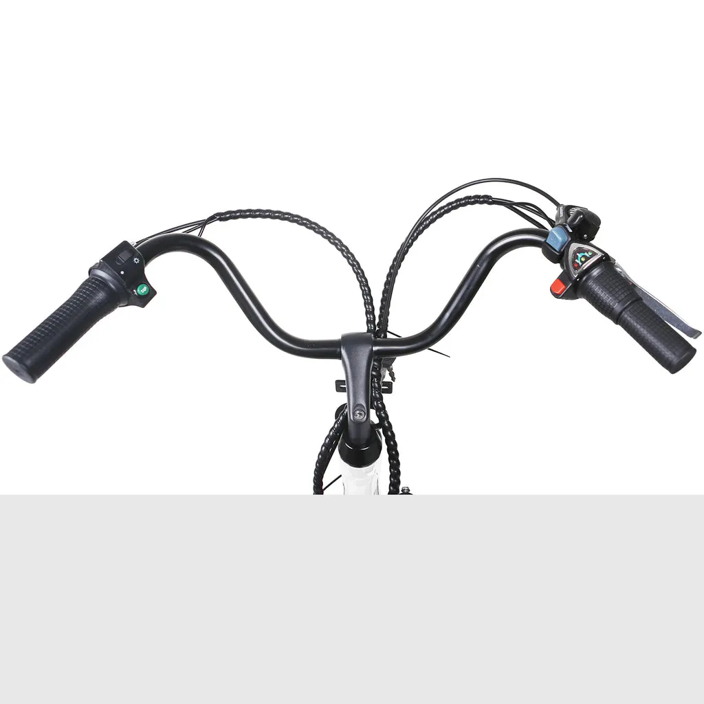 NAKTO City Stroller 36V/12Ah 600W Electric Bike