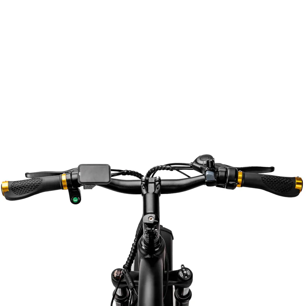 NAKTO Cruiser 2 48V/12Ah 750W Fat Tire Electric Bike