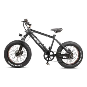 Nakto Discovery 20" Fat Tire 350W 48V Electric Bike