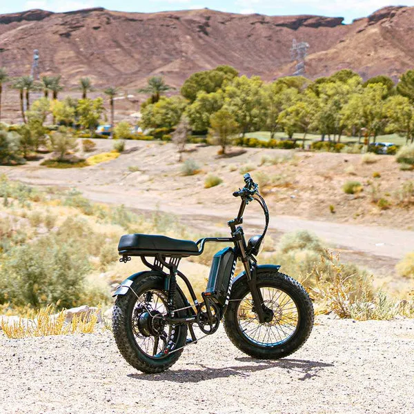 NAKTO F2 48V/16Ah 750W Fat Tire Electric Bike