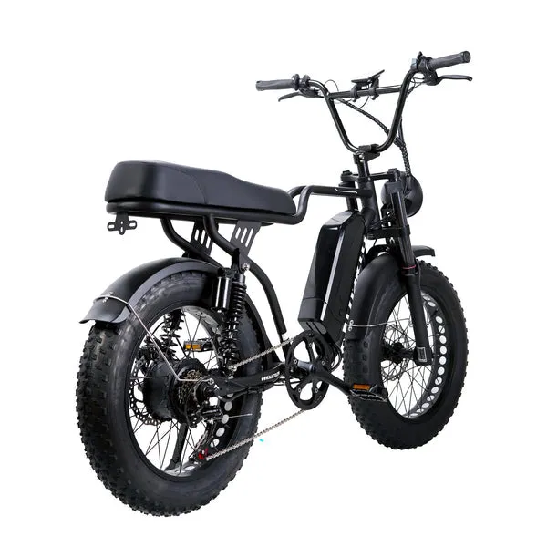 NAKTO F2 48V/16Ah 750W Fat Tire Electric Bike