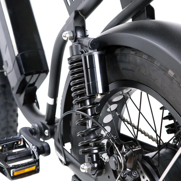 NAKTO F2 48V/16Ah 750W Fat Tire Electric Bike