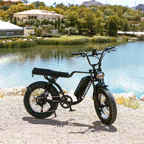 NAKTO F2 48V/16Ah 750W Fat Tire Electric Bike