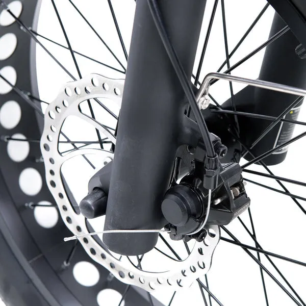 NAKTO F2 48V/16Ah 750W Fat Tire Electric Bike