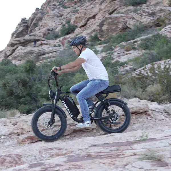 NAKTO F2 48V/16Ah 750W Fat Tire Electric Bike