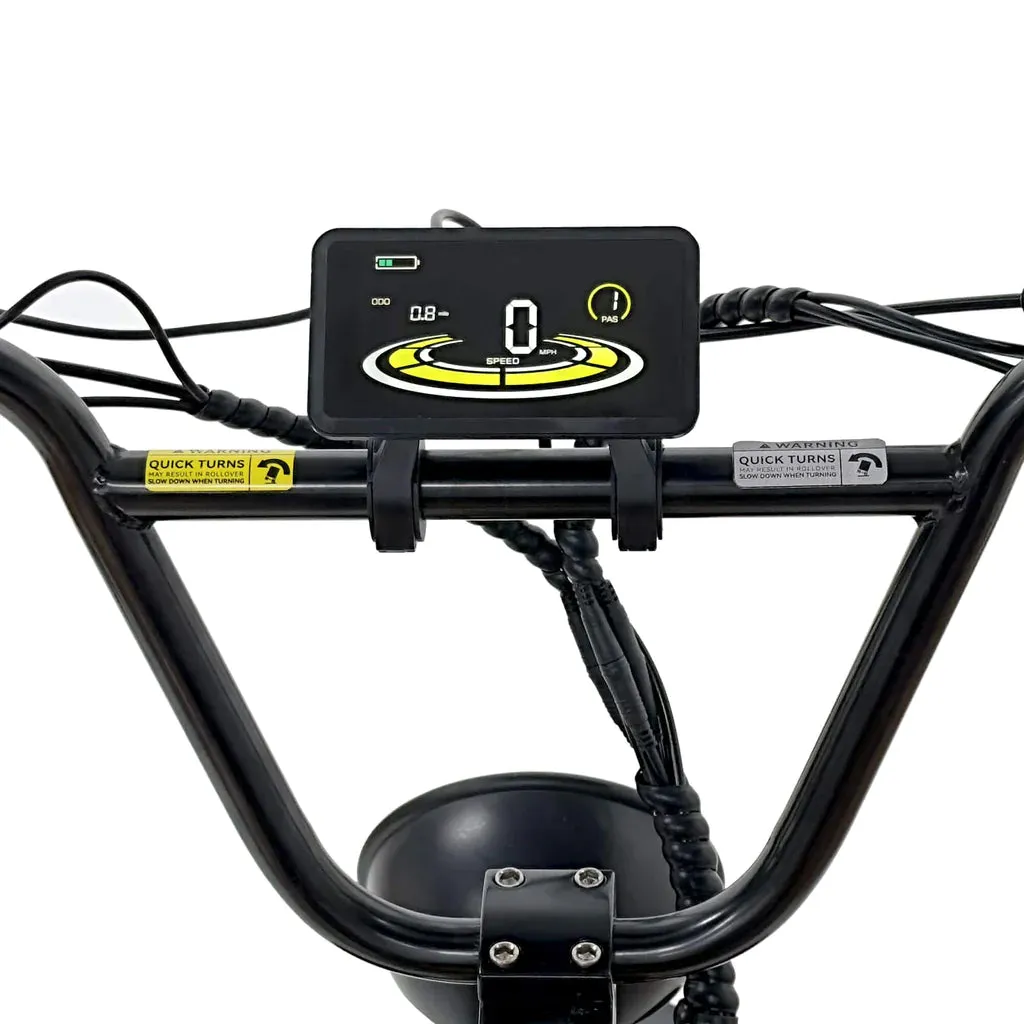 NAKTO F4 48V 20Ah/16Ah 750W/500W Electric Bike