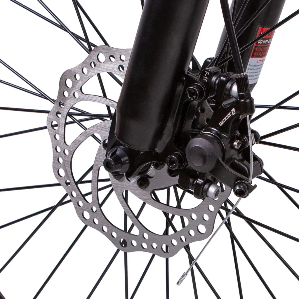 NAKTO M3 36V/10Ah 350W Electric Bike