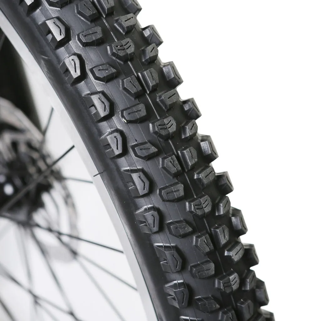 NAKTO Santa Monica 48V/10Ah 750W Fat Tire Electric Bike