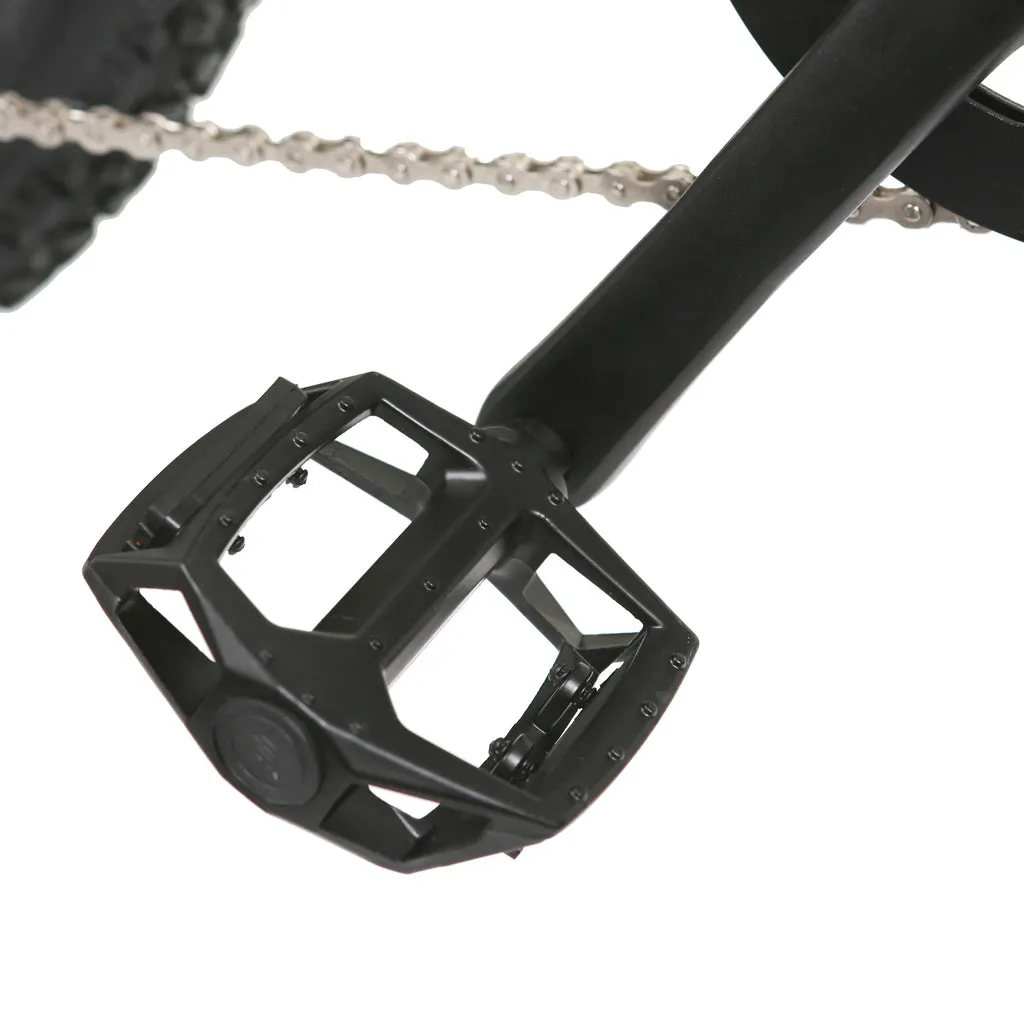 NAKTO Santa Monica 48V/10Ah 750W Fat Tire Electric Bike