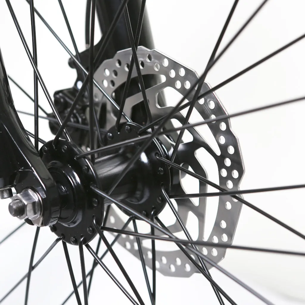 NAKTO Santa Monica 48V/10Ah 750W Fat Tire Electric Bike