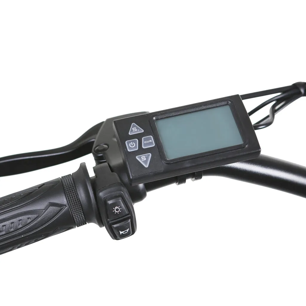 NAKTO Santa Monica 48V/10Ah 750W Fat Tire Electric Bike