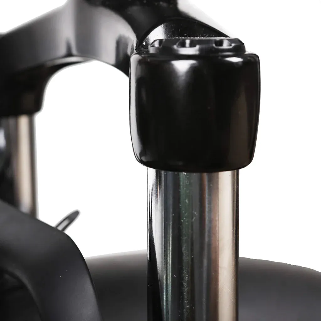 NAKTO Super Cruiser 48V/12Ah 750W Electric Bike