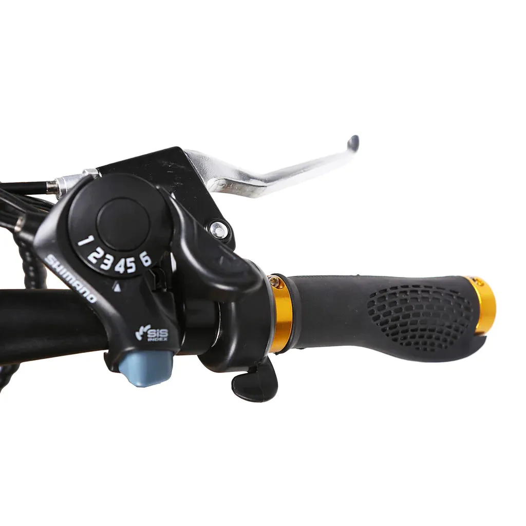 NAKTO Super Cruiser 48V/12Ah 750W Electric Bike