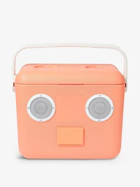Pink cooler and speaker