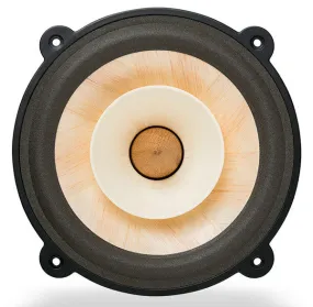 Voxativ Fullrange Driver AC-4X