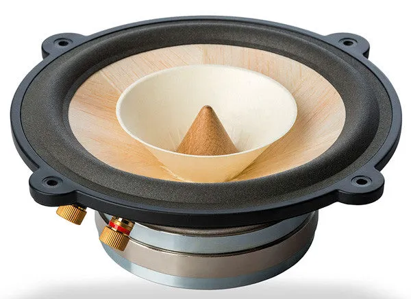 Voxativ Fullrange Driver AC-4X