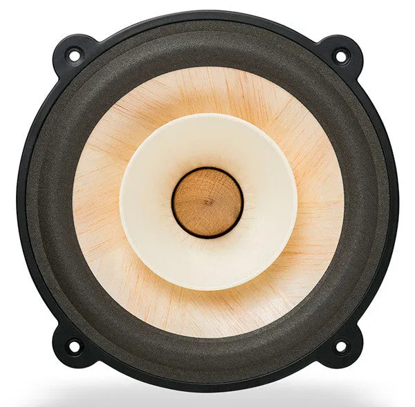 Voxativ Fullrange Driver AC-4X