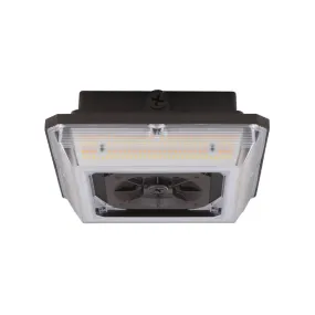 Westgate CAX 30W/45W/60W LED Canopy Light